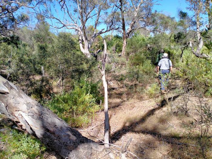 There is evidence that at one time the area saw considerable use, however, time has taken its toll and the bush is reclaiming the former watering hole.