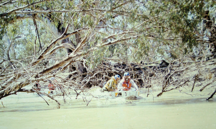 There are many, many fallen ttrees in the Lachlan River.