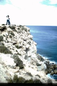 Overlooking the Great Australian Bight. from the Bunda Cliffs.