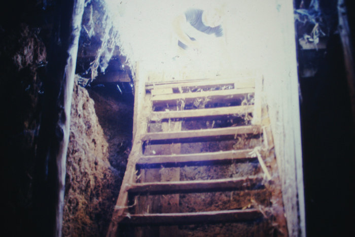 Cellar steps.