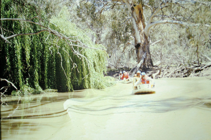 The beauty of willow trees adds so much to waterways in the Riverina but some completely block the river, particularly in the lower Lachlan.
