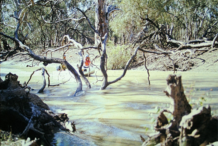 Typical of the lower Lachlan.