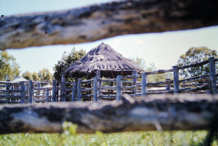 Bough shelter.