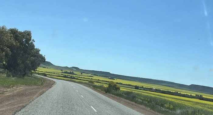 Scenic Chapman Valley.