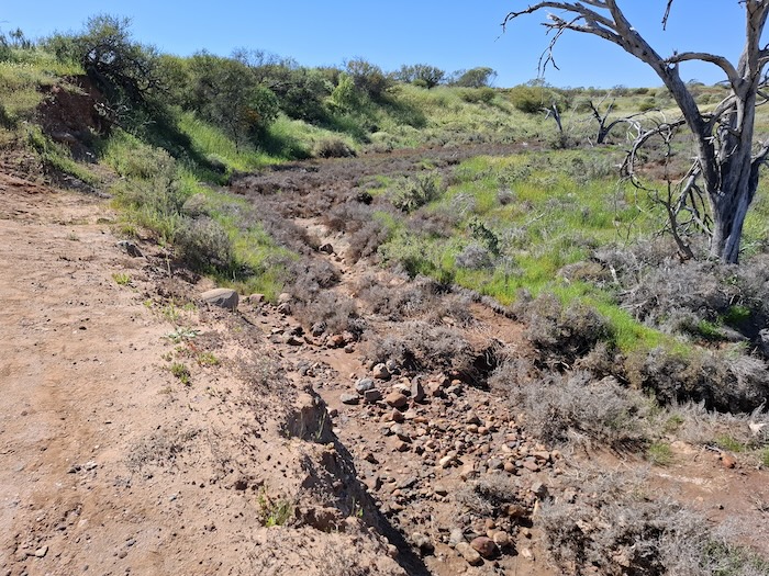 Greenough River at Bindoo.