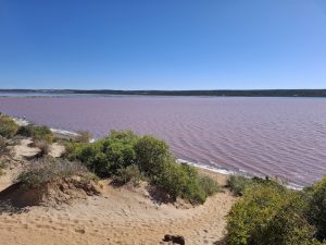 Pink Lake (Hutt Lagoon) Port Gregory.