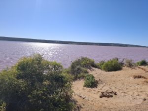 Pink Lake (Hutt Lagoon) Port Gregory.