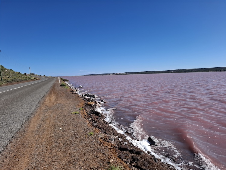 Port Gregory Road runs alongside the Pjnk Lake.