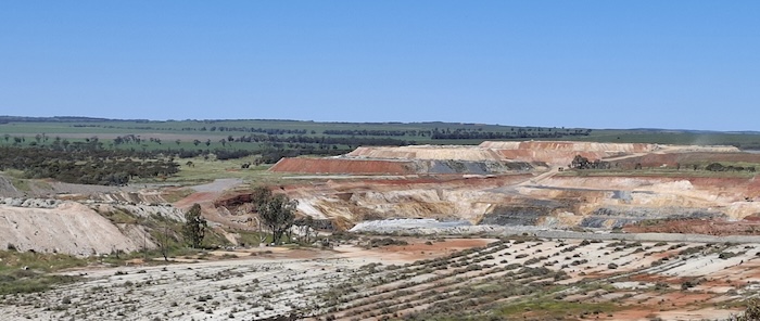 Revegatation of strip mining at the Three Springs talc mine.