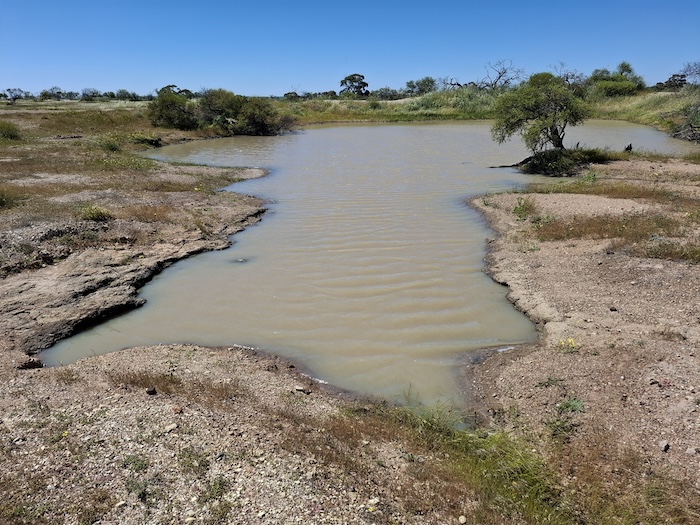 Woolya Dam just north of historic Woolya Well.