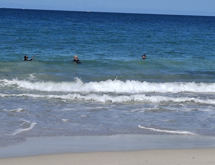 Swimming just north of Guilderton.